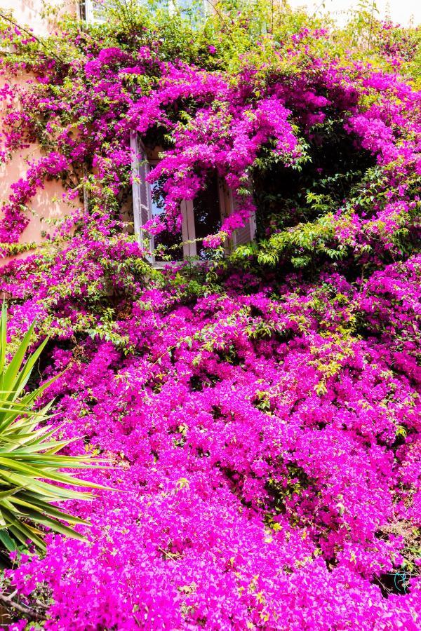 Orti 27 Garden Rome Trastevere - Rome Vacation M&D Exterior foto
